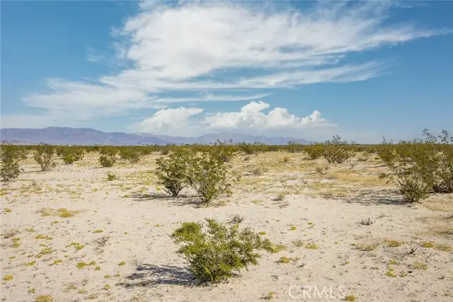 3333 El Passeo, Twentynine Palms, CA 92277 - #2