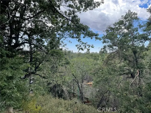 33462 Angeles Drive, Green Valley Lake, CA 92341 - Image #3