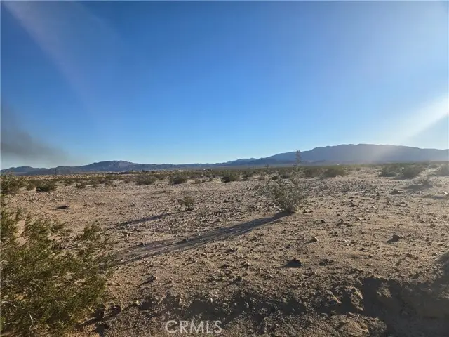 1234 Amboy Road, Twentynine Palms, CA 92277 - #3
