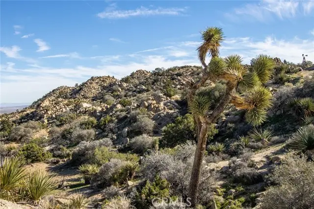 6274 Omega, Yucca Valley, CA 92284 - #3