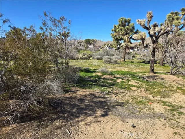 7484 Palm Avenue, Yucca Valley, CA 92284 - #1
