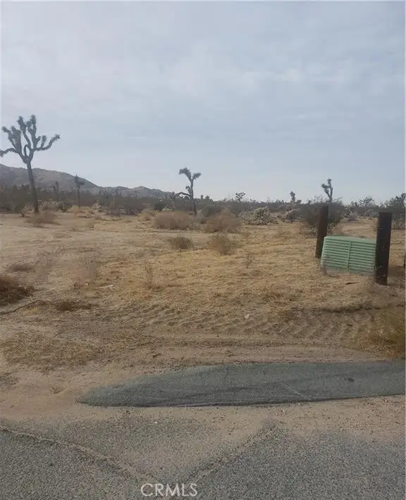 29 Palms, Joshua Tree, CA 92252 - #1