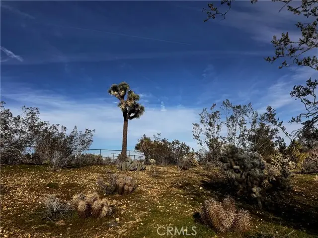 0 Camarilla Avenue, Yucca Valley, CA 92284 - Image #3