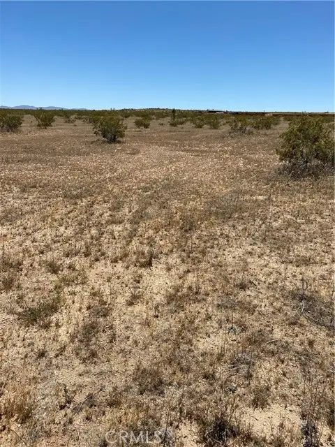 900 Fetlock, Landers, CA 92285 - #2