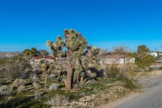 60432 Latham Trail, Joshua Tree, CA 92252 - #1