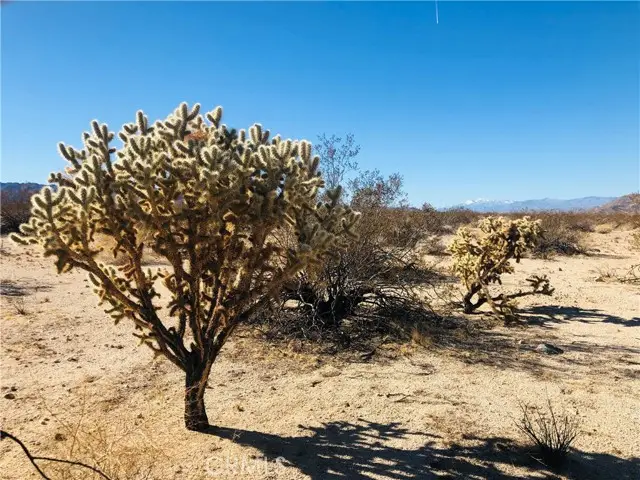 5 Appian Way, Twentynine Palms, CA 92277 - #2