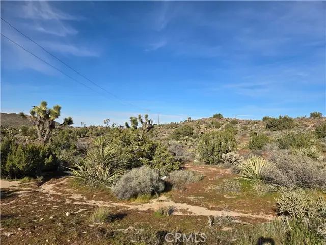 1234 Lemoore, Yucca Valley, CA 92284 - #1