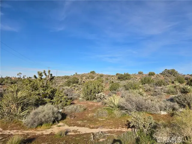 1234 Lemoore, Yucca Valley, CA 92284 - #2