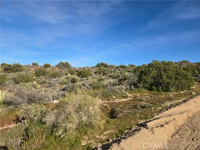 1234 Lemoore, Yucca Valley, CA 92284 - #3