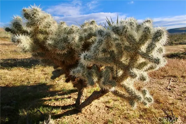 111 Perris, Landers, CA 92285 - #2