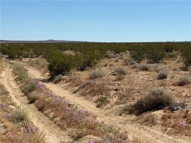 0 Ca-247, Landers, CA 92285 - #3