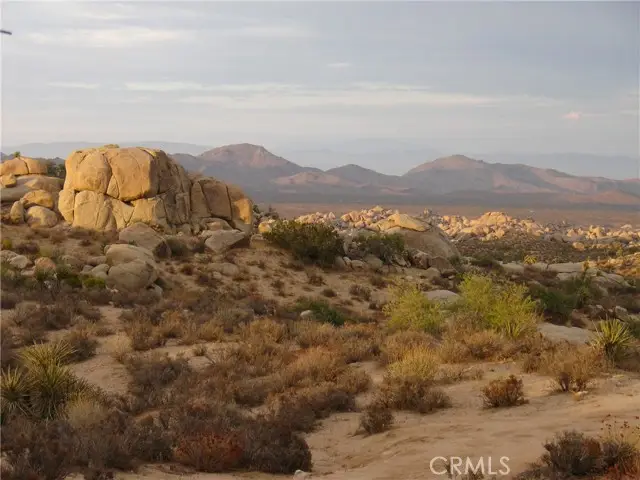 52588 Blackbrush Road, Pioneertown, CA 92268 - #3