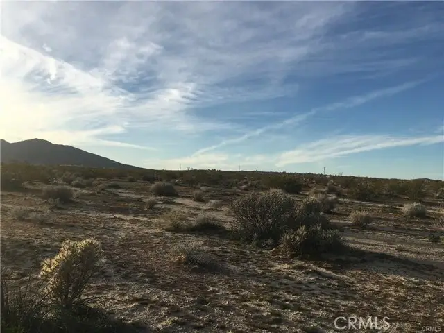 0 California, Joshua Tree, CA 92252 - #2