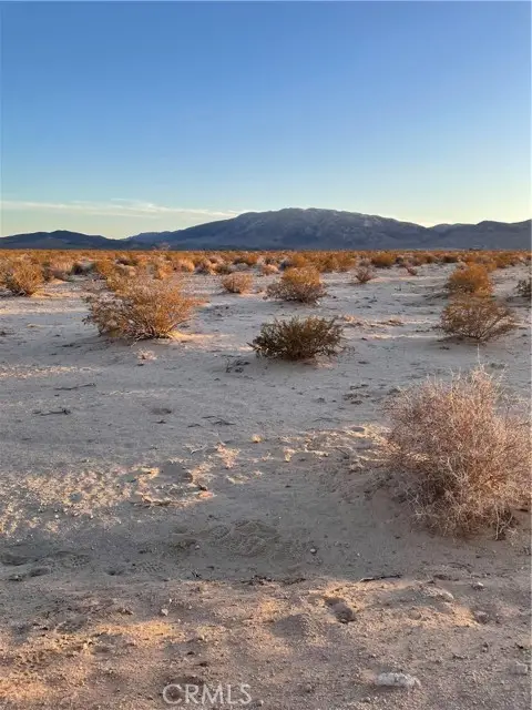 78201 Two Mile Rd, Twentynine Palms, CA 92277