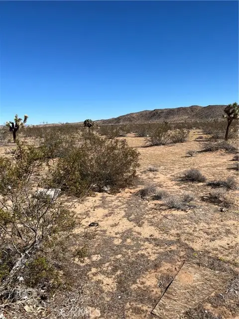 0 Avalon, Landers, CA 92285 - #3