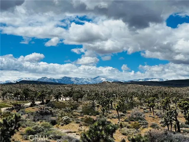 57864 Sunflower Drive, Yucca Valley, CA 92284 - #1