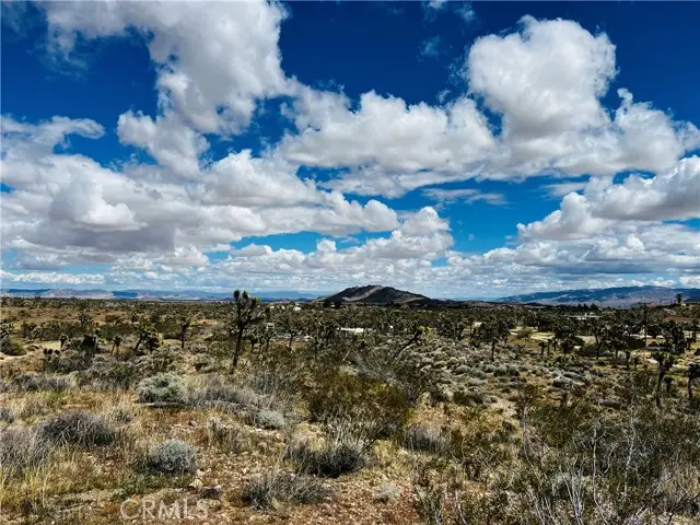 57864 Sunflower Drive, Yucca Valley, CA 92284 - #3