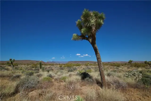49 Aberdeen, Yucca Valley, CA 92284 - #3