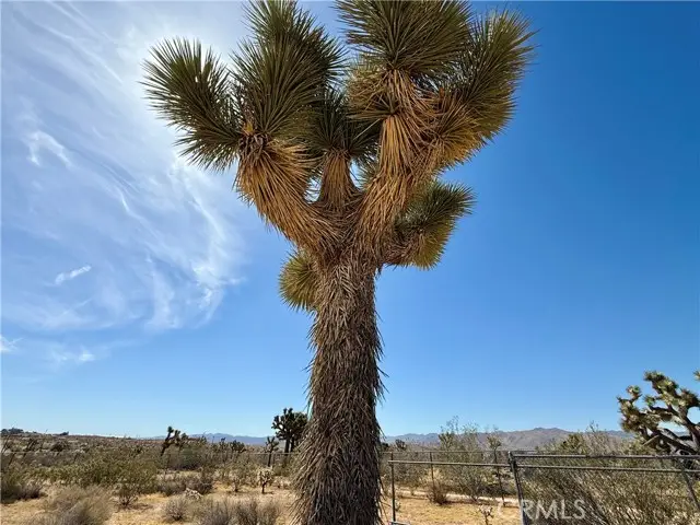 0 Sun Mesa Drive, Yucca Valley, CA 92284 - #3