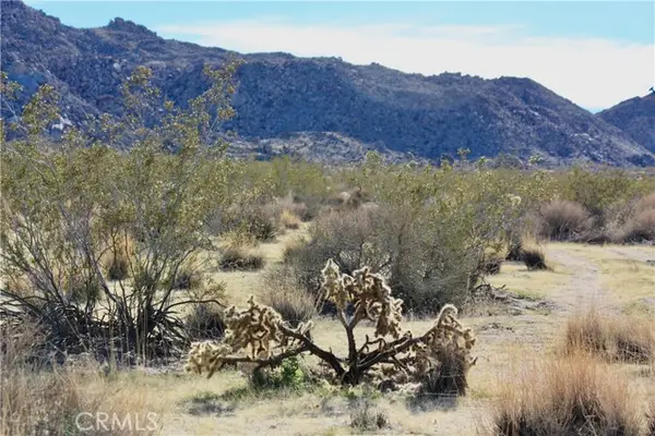 64647 Foothill Drive, Joshua Tree, CA 92252