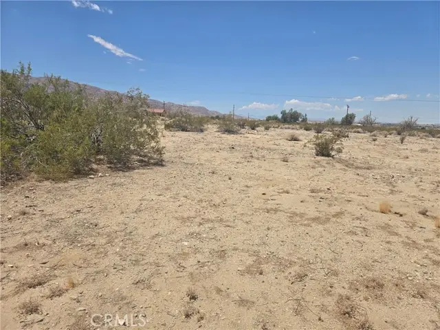 2 Sheridan Avenue, Twentynine Palms, CA 92277 - #2