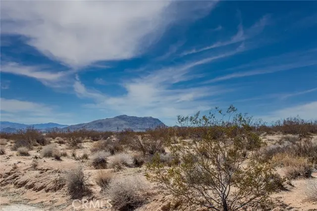 3374 Sunny Hill, Joshua Tree, CA 92252 - #1