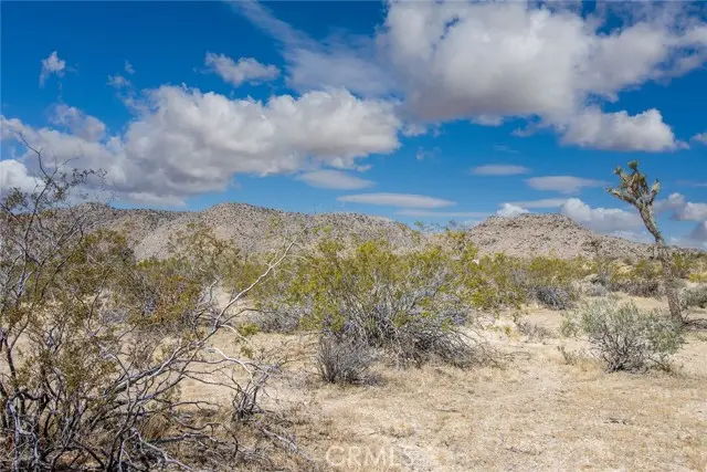 3374 Sunny Hill, Joshua Tree, CA 92252 - #2