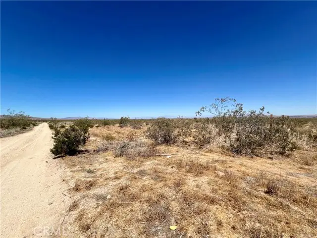 33501 165th Street E, Llano, CA 93544 - #1