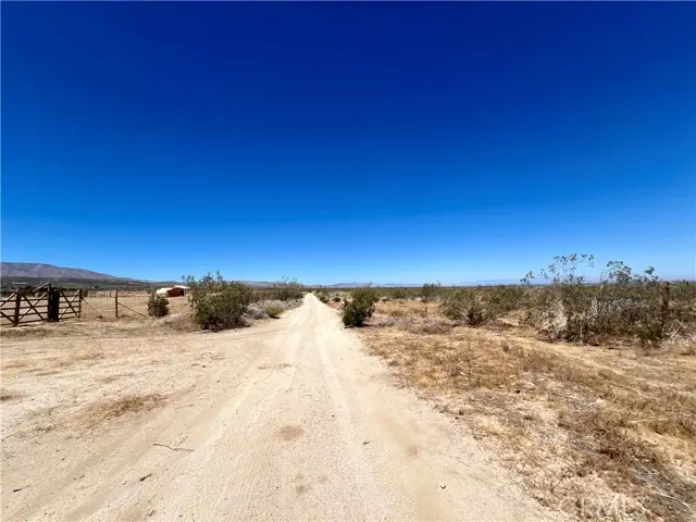 33501 165th Street E, Llano, CA 93544 - #2