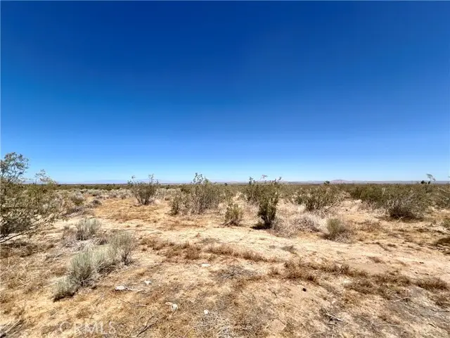 33501 165th Street E, Llano, CA 93544 - #3