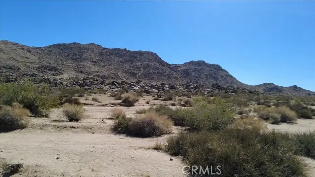 0 Campanula Street, Joshua Tree, CA 92252 - #1