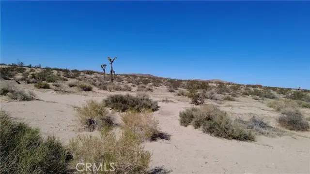 0 Campanula Street, Joshua Tree, CA 92252 - #3