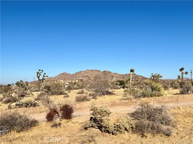 0 Anita Avenue, Yucca Valley, CA 92284 - #2
