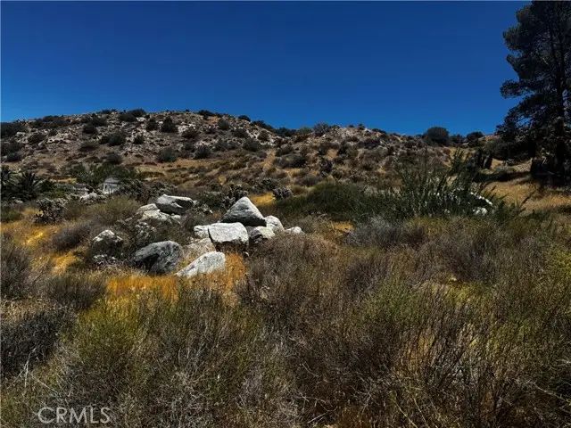 54025 Ridge, Yucca Valley, CA 92284 - #1