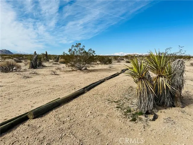 1234 Desert Lily, Joshua Tree, CA 92252 - #1