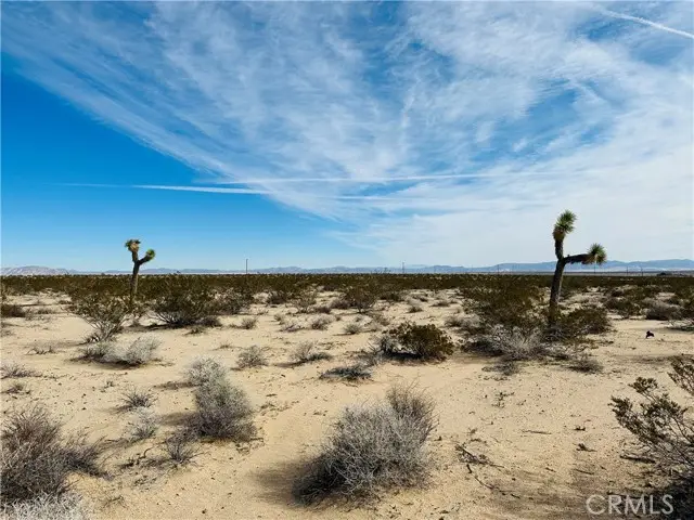 1234 Desert Lily, Joshua Tree, CA 92252 - #2