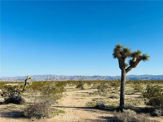 1974 Sunset, Joshua Tree, CA 92252 - #1