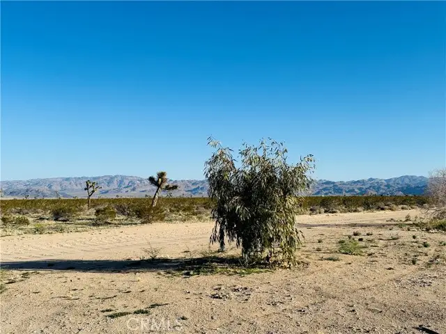 1974 Sunset, Joshua Tree, CA 92252 - #2