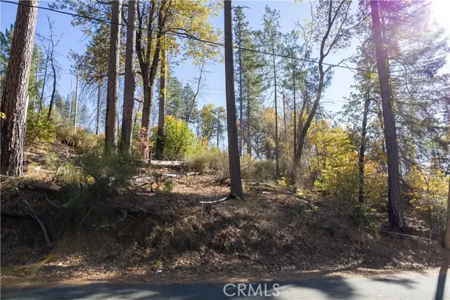 10991 Gifford Springs Road, Cobb, CA 95426 - #1