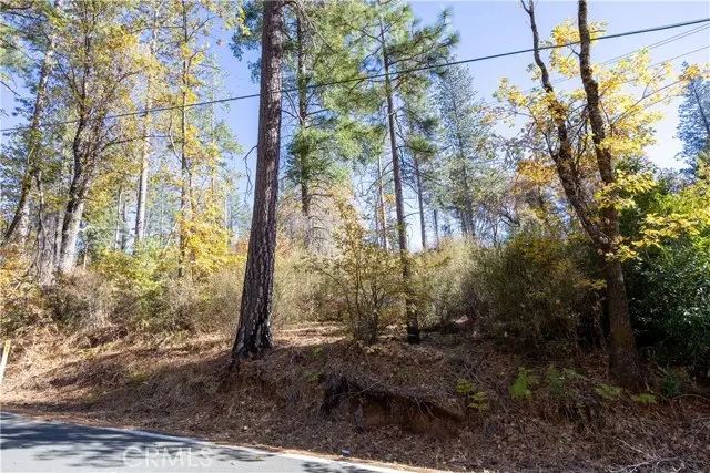 10981 Gifford Springs Road, Cobb, CA 95426 - #1