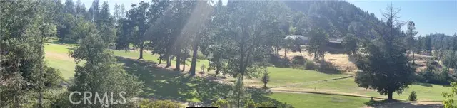 14461 Snead Drive, Cobb, CA 95426 - #2