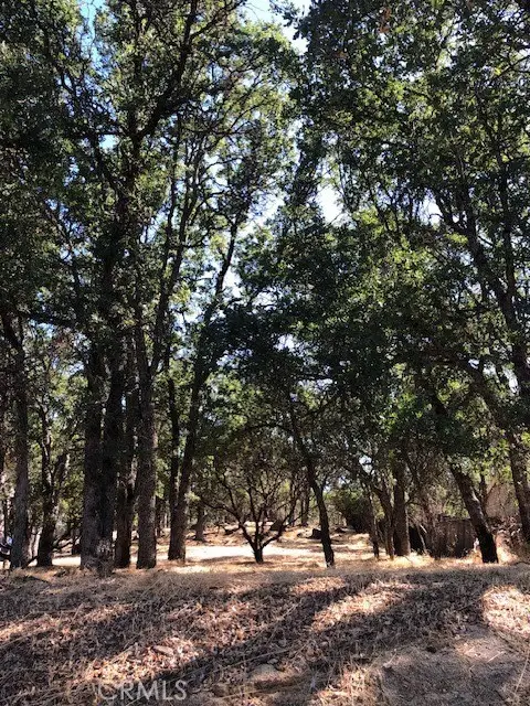 19200 Moon Ridge Road, Hidden Valley Lake, CA 95467 - #1