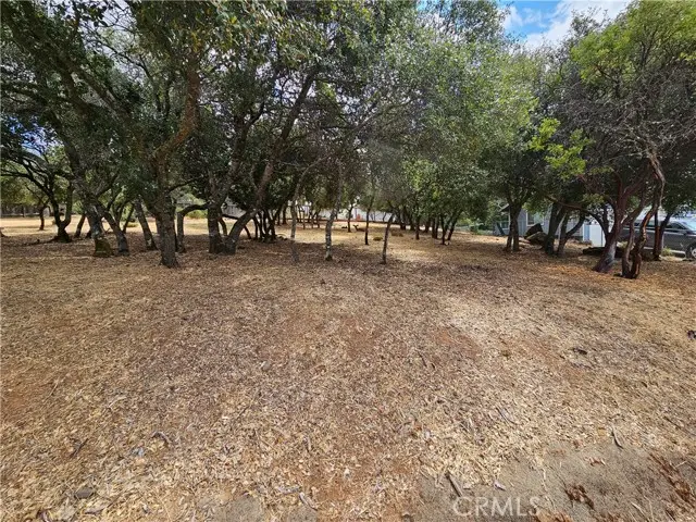 9717 Mount Hood Way, Kelseyville, CA 95451 - #3