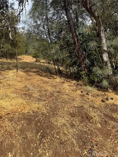 12504 Lakeview Drive, Clearlake Oaks, CA 95423 - #1