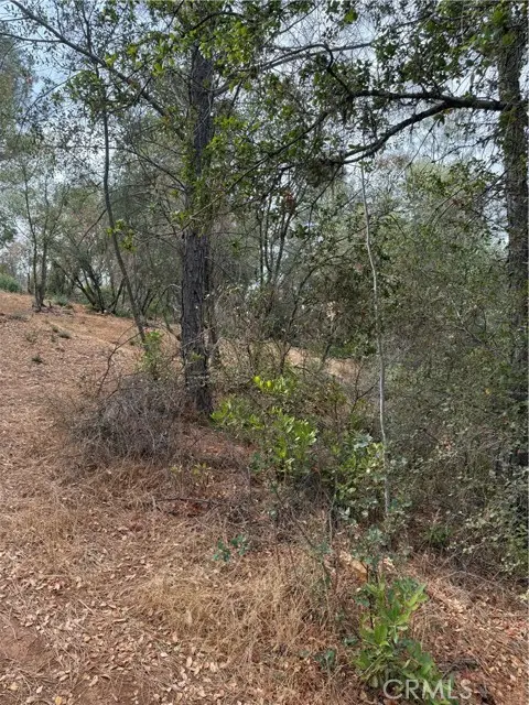 3475 Garfield Avenue, Clearlake, CA 95422 - #2