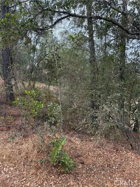 3475 Garfield Avenue, Clearlake, CA 95422 - #3