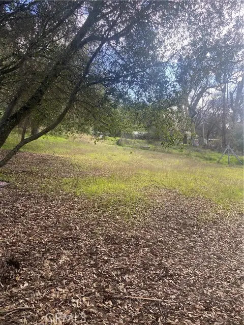 7005 Marin Street, Nice, CA 95464 - #2