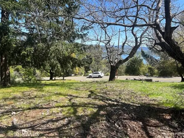 3675 Crestwood Drive, Kelseyville, CA 95451