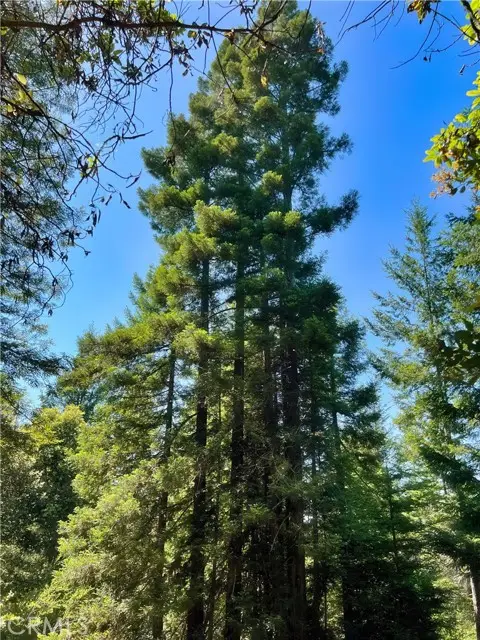5801 Flynn Creek Road, Comptche, CA 95427 - #3