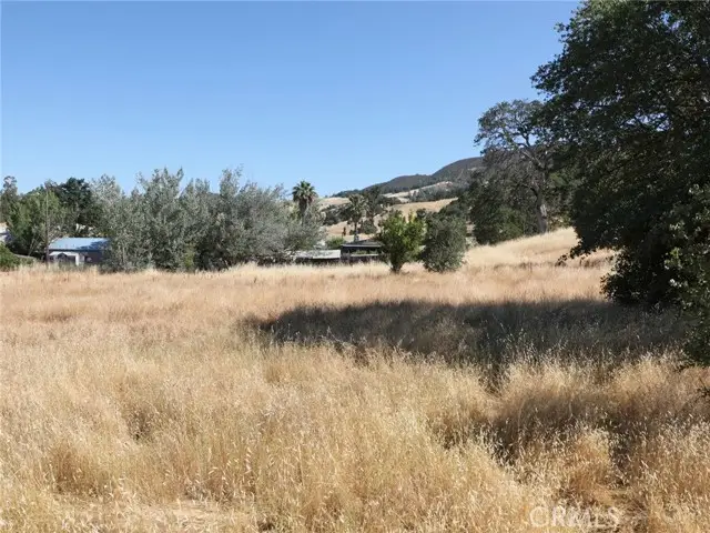 7290 Wilson Street, Nice, CA 95464 - #3